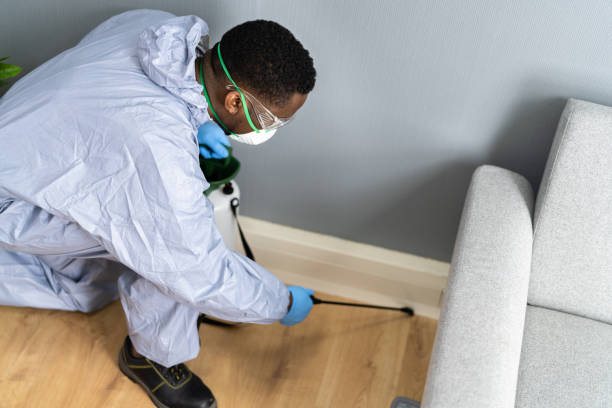 Emergency Pest Control Services in Cadott, WI